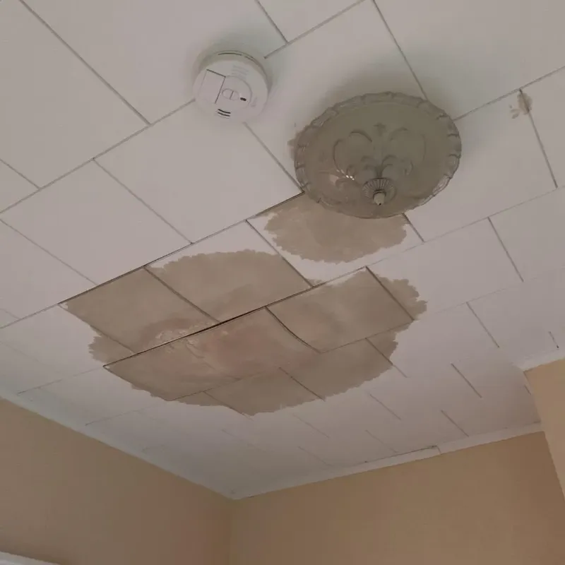 Ceiling Water Damage Repair in Waukesha, WI